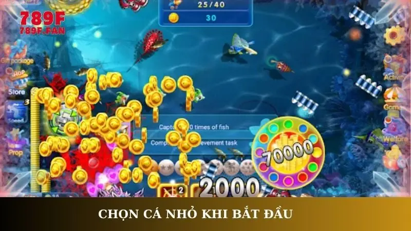 Chọn cá nhỏ khi bắt đầu